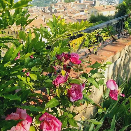 Jardin & Vue Maison Des Annees 20 Proche Du Centre Historique Grasse
