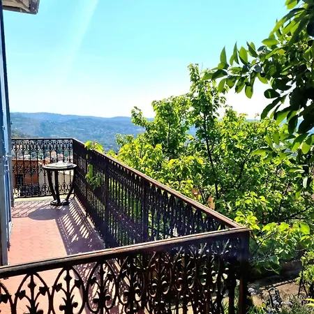 Jardin & Vue Maison Des Annees 20 Proche Du Centre Historique Holiday home